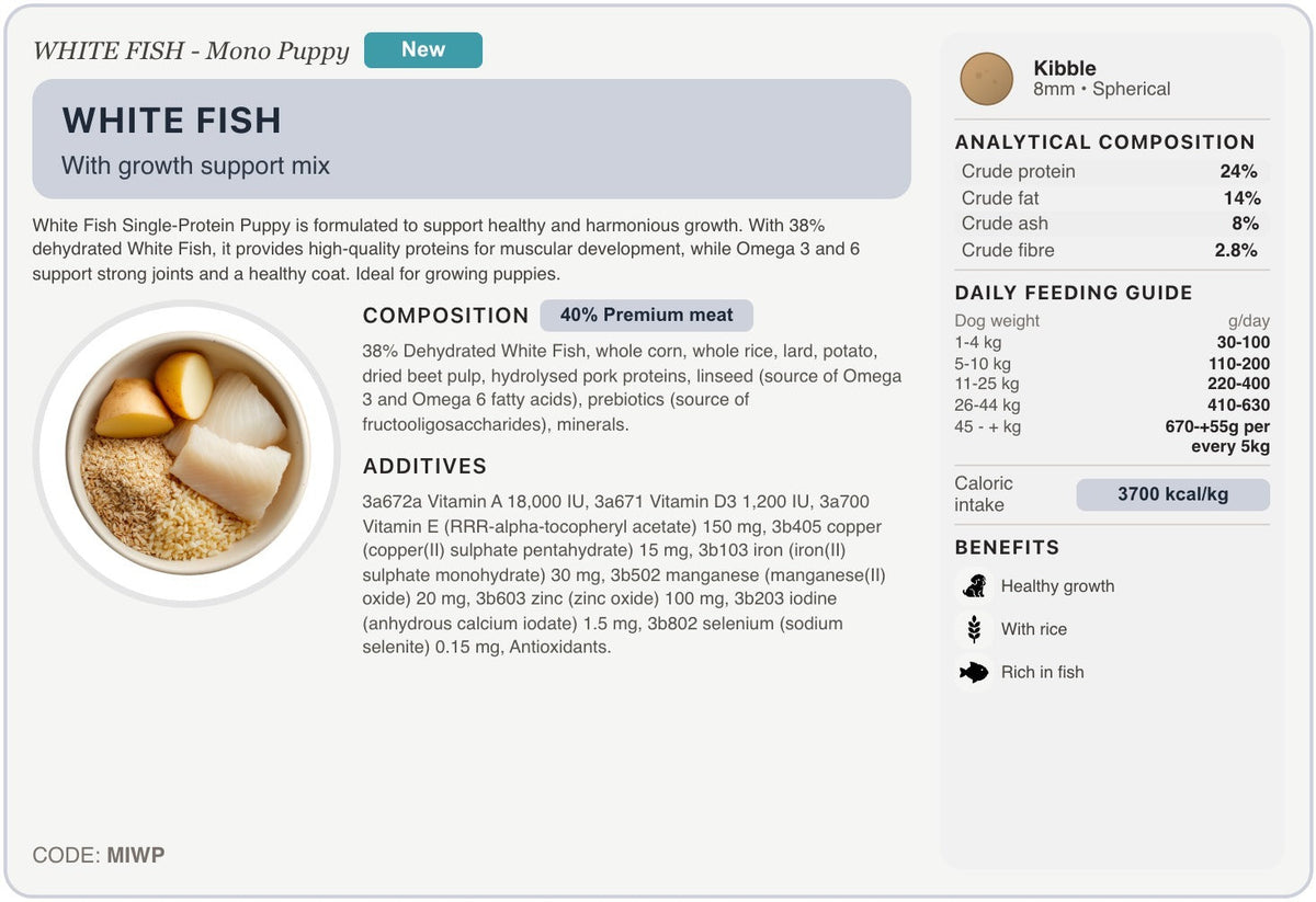 MIWP recipe card